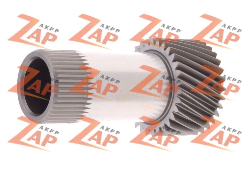 СОЛНЕЧНАЯ ШЕСТЕРНЯ