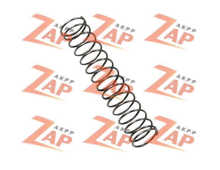 TCC MODULATOR SPRING