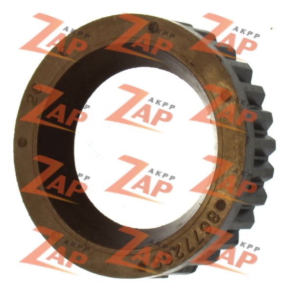 МЕЖВАЛЬНЫЙ САЛЬНИК