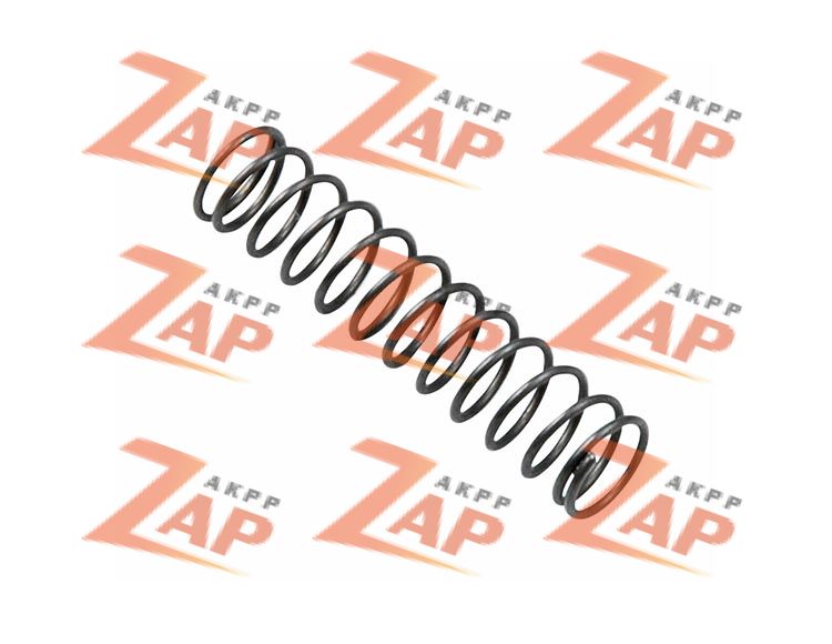 PCA MODULATOR VALVE SPRING