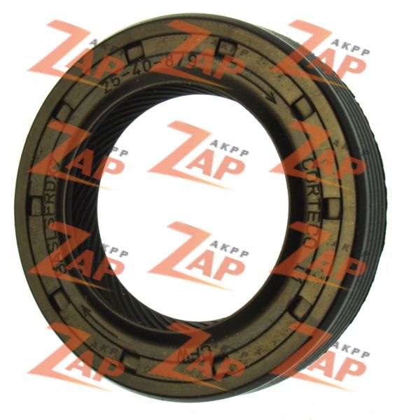 САЛЬНИК ПЕРЕДНИЙ