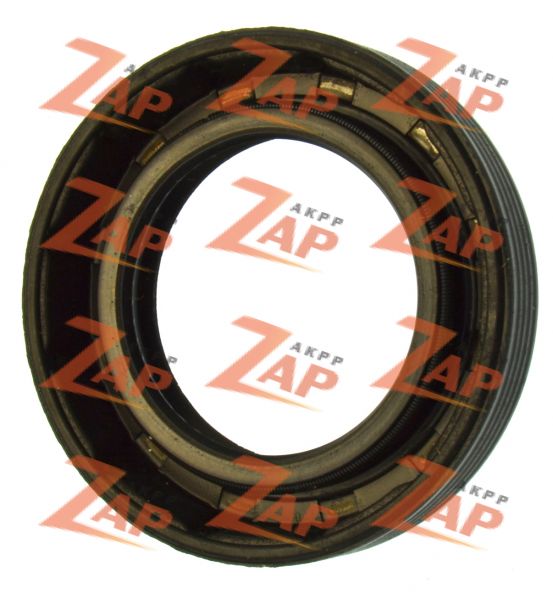 САЛЬНИК ПЕРЕДНИЙ