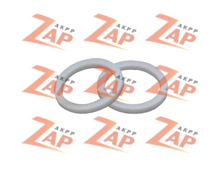 OVERSIZED SEAL RINGS