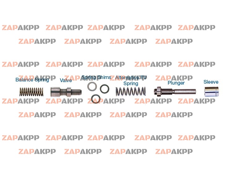 THROTTLE VALVE KIT