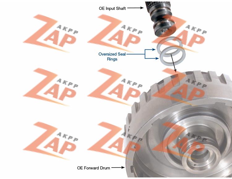 OVERSIZED SEAL RINGS