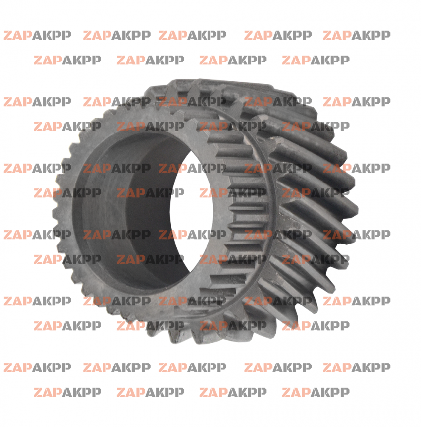 СОЛНЕЧНАЯ ШЕСТЕРНЯ