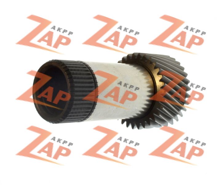 СОЛНЕЧНАЯ ШЕСТЕРНЯ