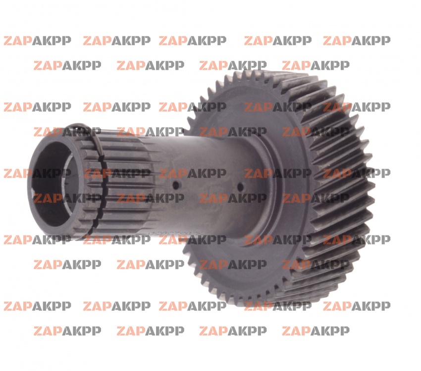 ПЕРЕДНЯЯ СОЛНЕЧНАЯ ШЕСТЕРНЯ