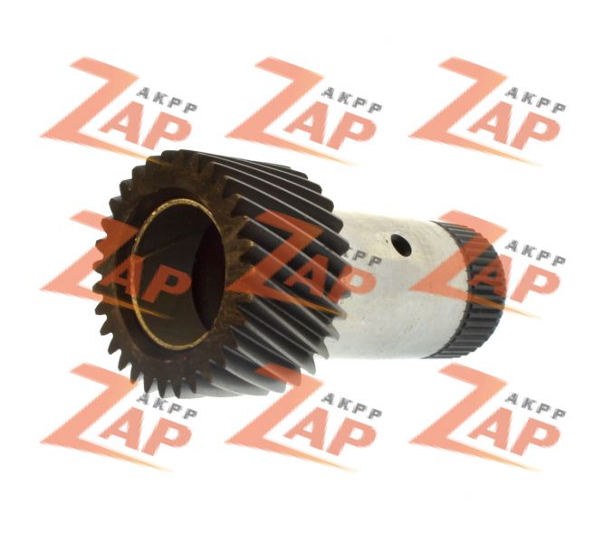 СОЛНЕЧНАЯ ШЕСТЕРНЯ