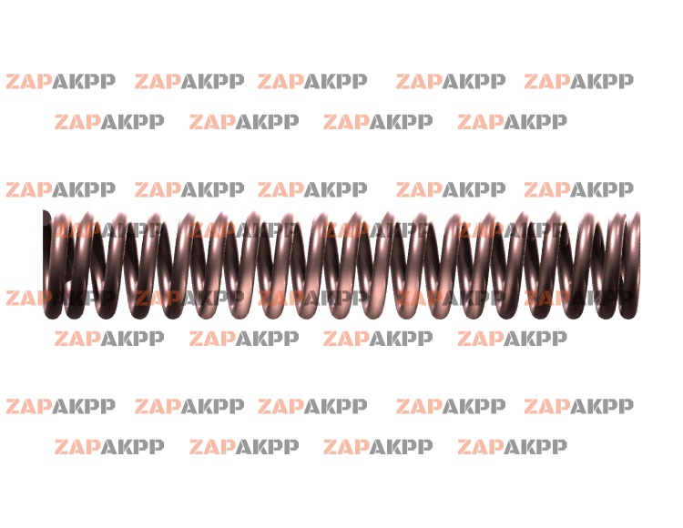 ПРУЖИНА ГИДРОТРАНСФОРМАТОРА (РОЗО
