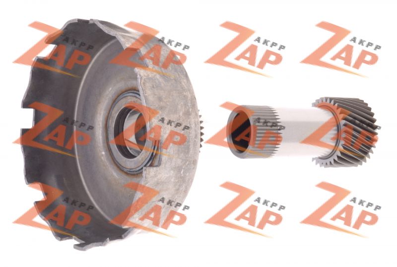 ШЕЛЛ C СОЛНЕЧНОЙ ШЕСТЕРНЕЙ