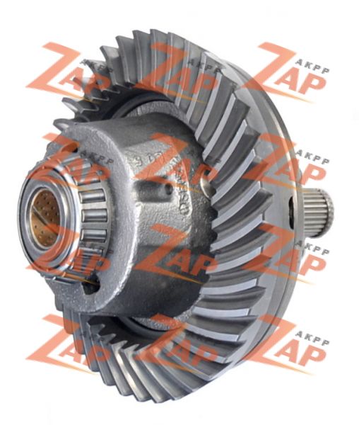 ДИФФЕРЕНЦИАЛ