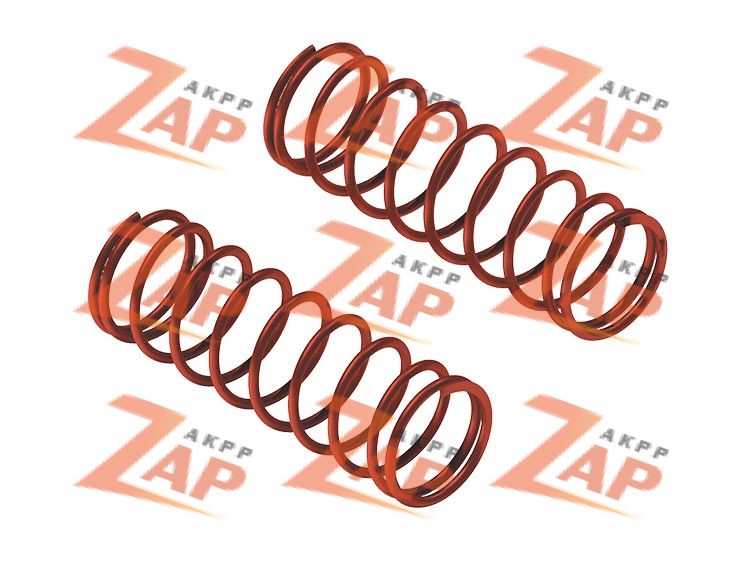 CLUTCH SELECT VALVE SPRING KIT